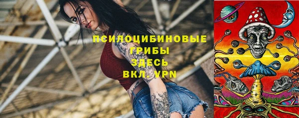 МДПВ Алексеевка