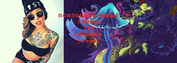 PSILOCYBIN Няндома