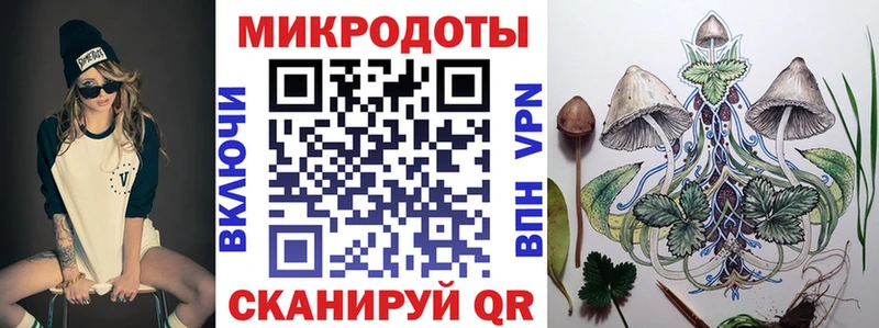 OMG ссылки  Мураши  Галлюциногенные грибы прущие грибы 